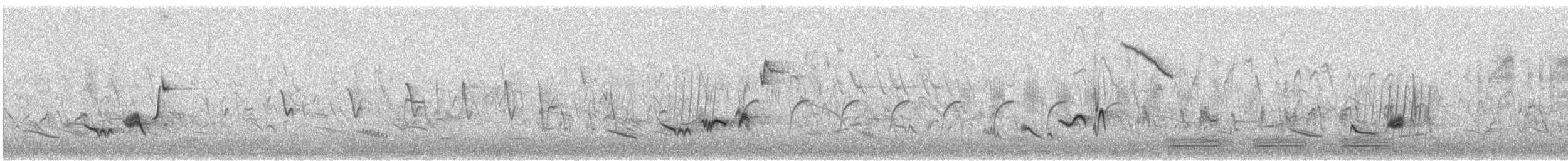 Cape Robin-Chat - ML640558482