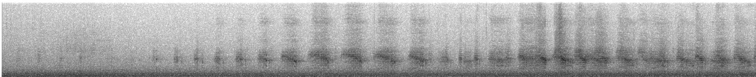 Blue-billed White-Tern - ML640559035