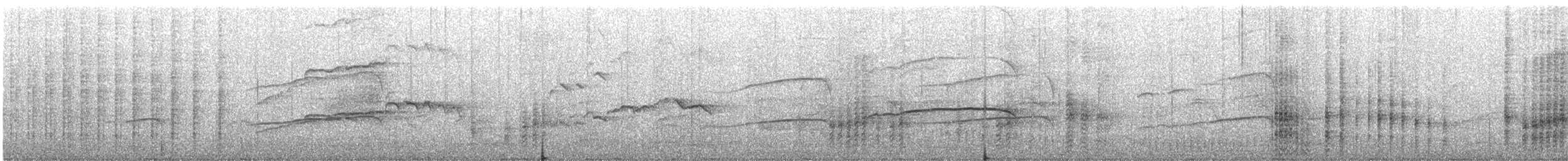 ヒメクロアジサシ - ML640559813