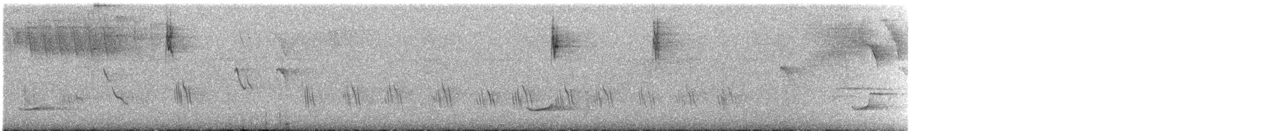 Caribbean Martin - ML640560549