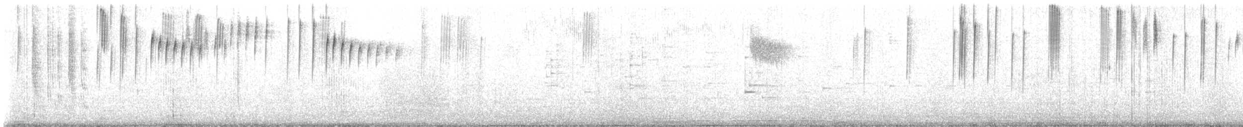Costa's Hummingbird - ML640560715