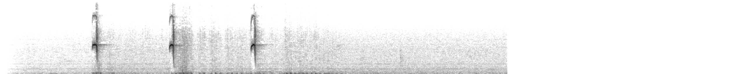 Colibri géant - ML640564408