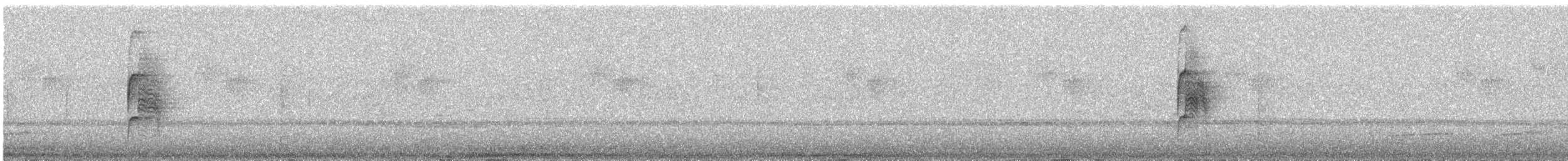 Santa Marta Tapaculo - ML640564544