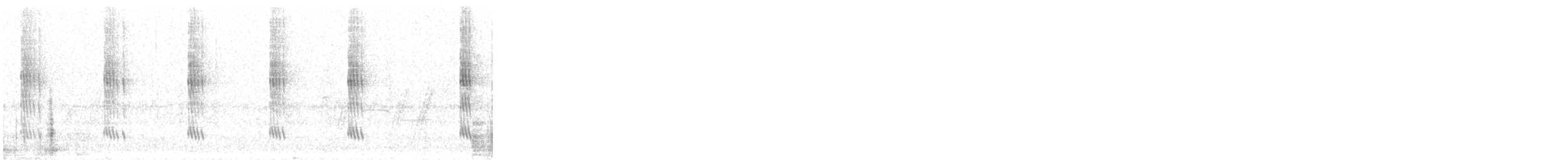 Berylline Hummingbird - ML640566180