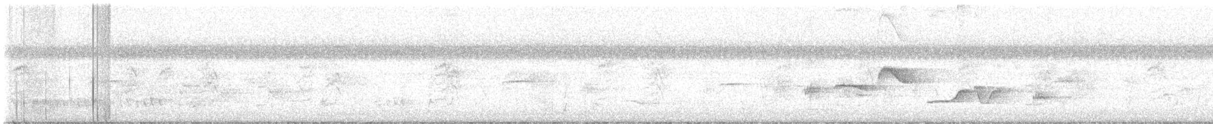 Oriental Magpie-Robin - ML640566279