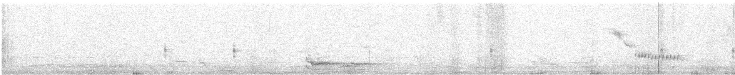 chřástal australasijský - ML640568525