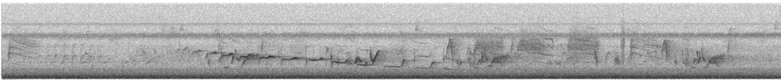 Canyon Wren - ML640570113