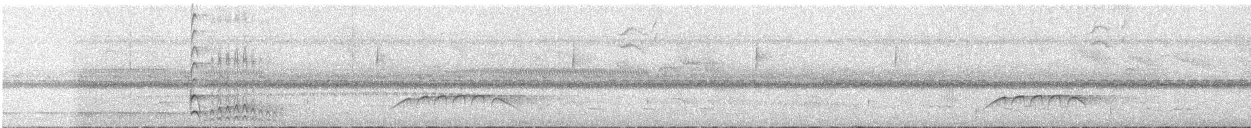Lineated Woodpecker - ML640572563