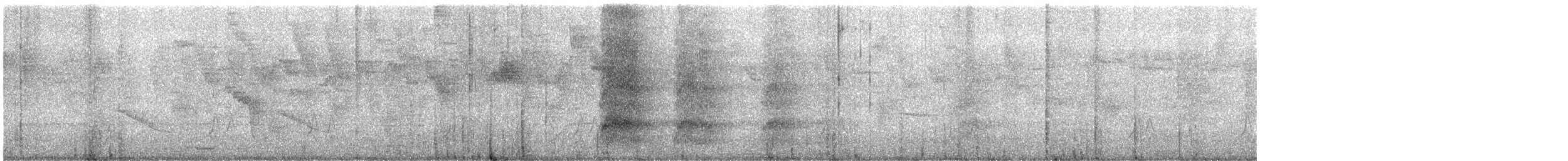 White-throated Magpie-Jay - ML640575265