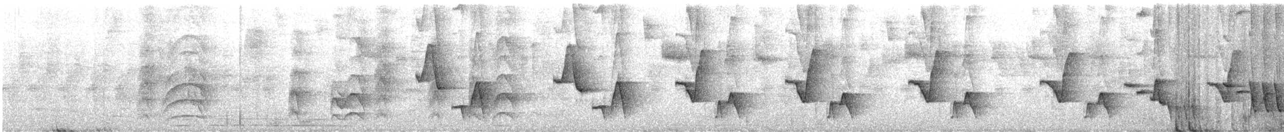 Troglodyte à calotte noire - ML640575910