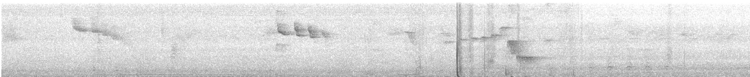 Troglodyte à calotte noire - ML640575931