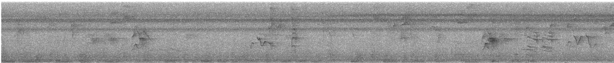 メジロヒメモズモドキ - ML640576001