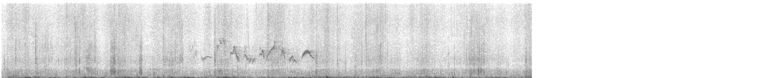 Warbling Vireo (Western) - ML640577203