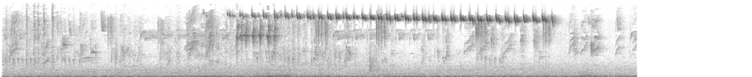 Gilded Hummingbird - ML640578129