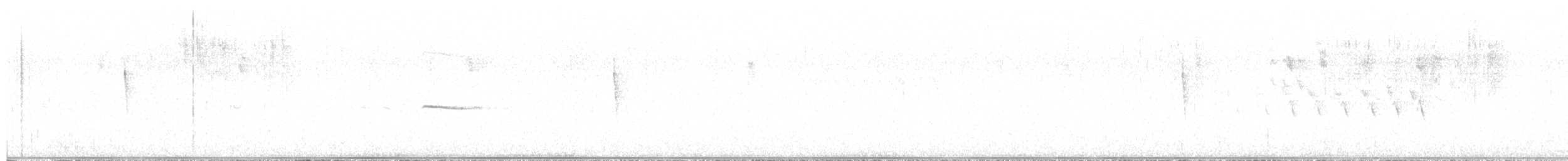Grace's Warbler - ML640579006