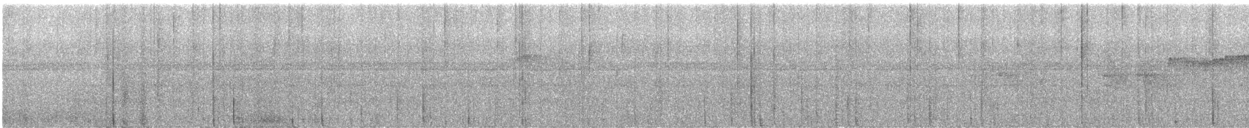 Northern Plain-Xenops - ML640580610