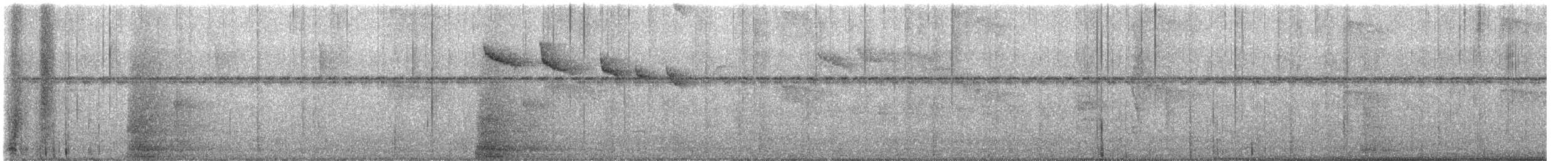 hummingbird sp. - ML640580760