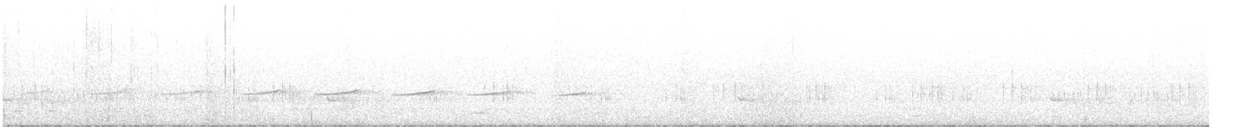 ヨコジマテリカッコウ - ML640581811