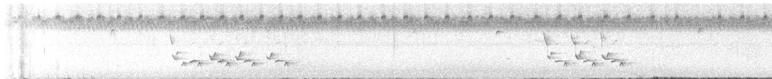 Carolina Wren - ML640582711