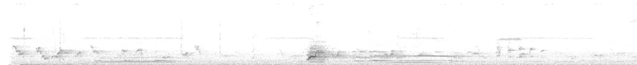 Carpophage pacifique - ML640583889