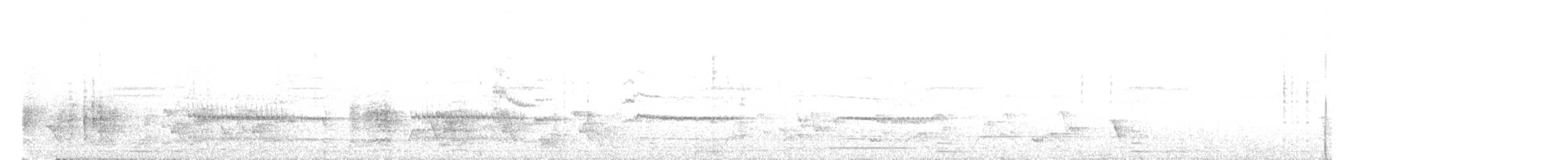 ledňáček pacifický [skupina sacer] - ML640584051