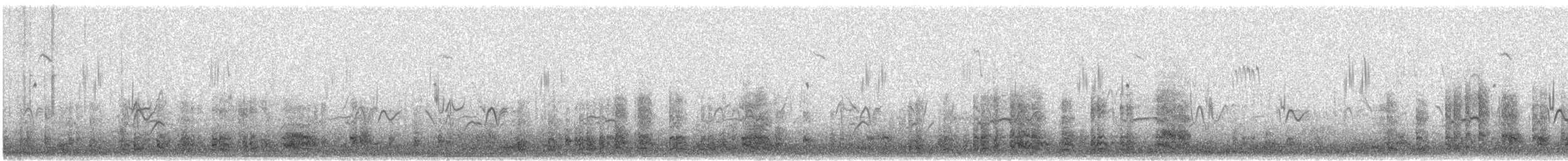 Black Bustard - ML640584068