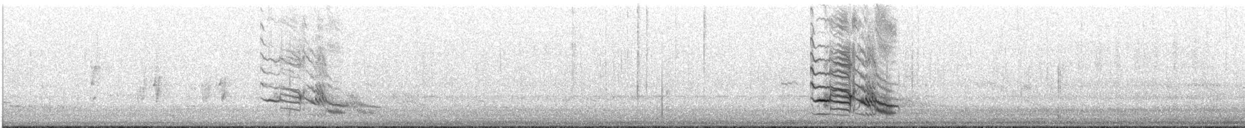 Black-faced Cuckooshrike - ML640584333