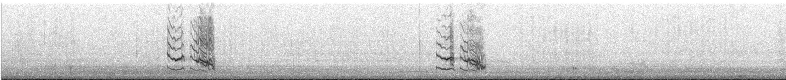 Black-faced Cuckooshrike - ML640584336