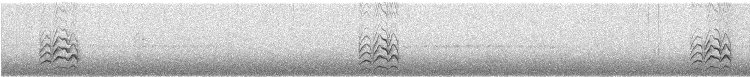 kappspurv (capensis gr.) - ML640584346