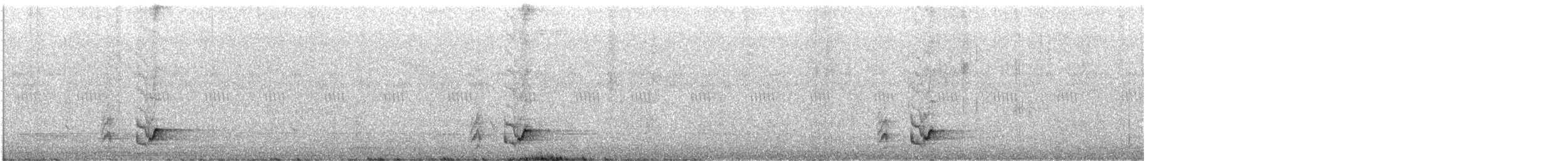 Troglodyte à long bec - ML640584602