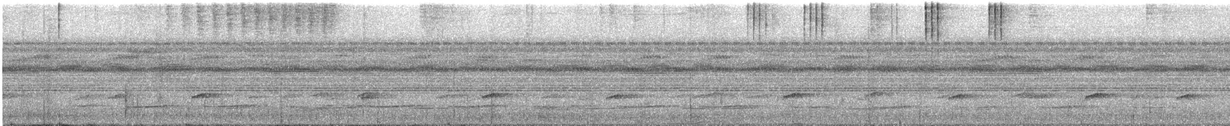 Uniform Crake - ML640585084