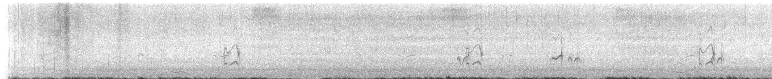 Perdeli Cılıbıt - ML640587158