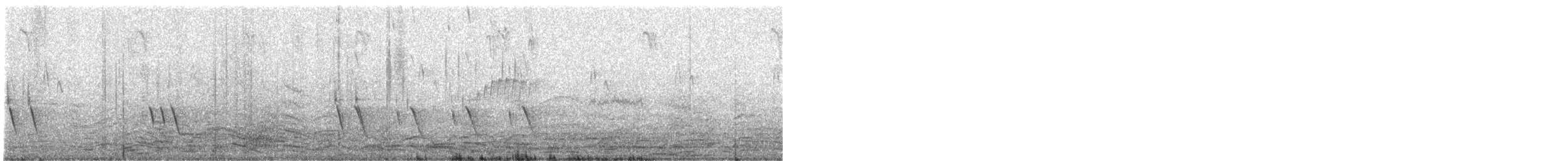 Scrub Blackbird - ML640591213