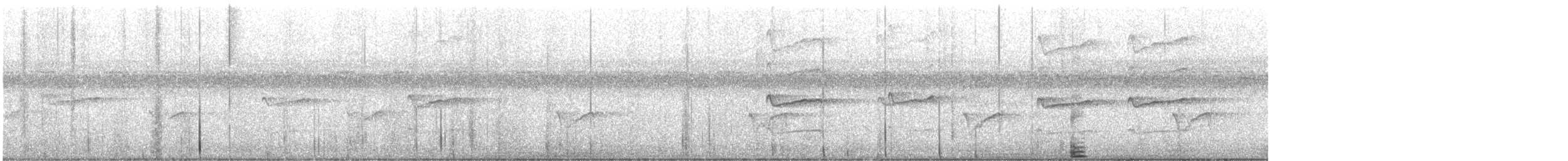 Pluvier semipalmé - ML640591778