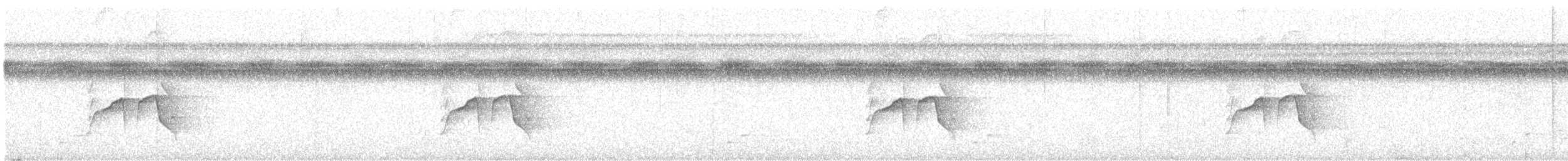 Dot-backed Antbird - ML640592277