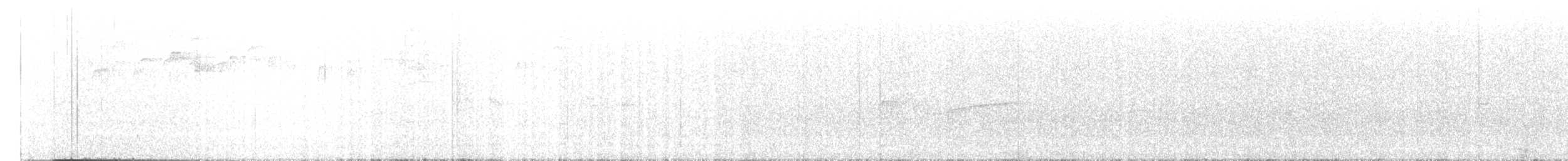 tyranovec východní - ML640593734