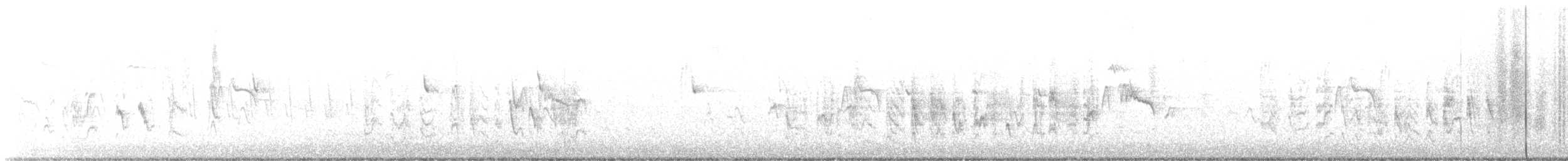 Bell's Vireo (Least) - ML640594902