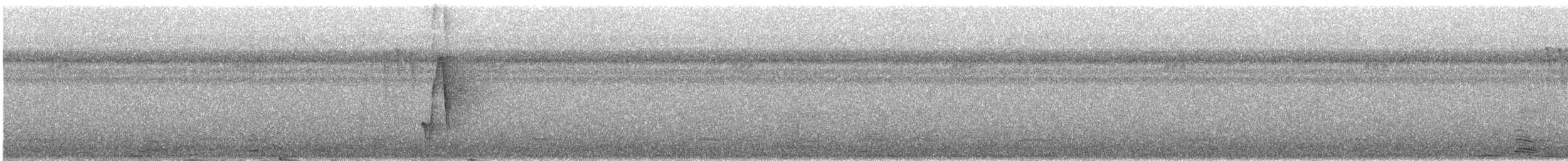 Troglodyte à calotte noire - ML640596295