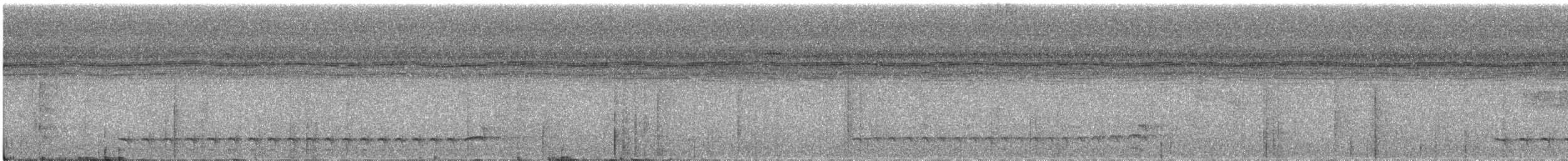 Black-crowned Antshrike - ML640596348