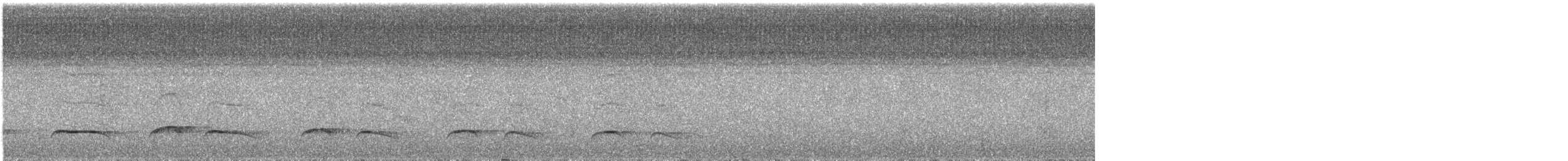 Черногрудая пуховка - ML640596365