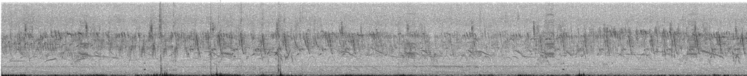 Ashy Prinia - ML640596897