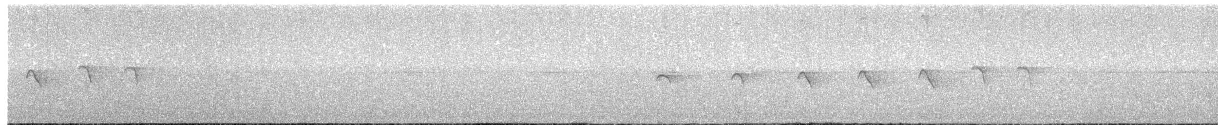 Magdalena Antbird - ML640599076