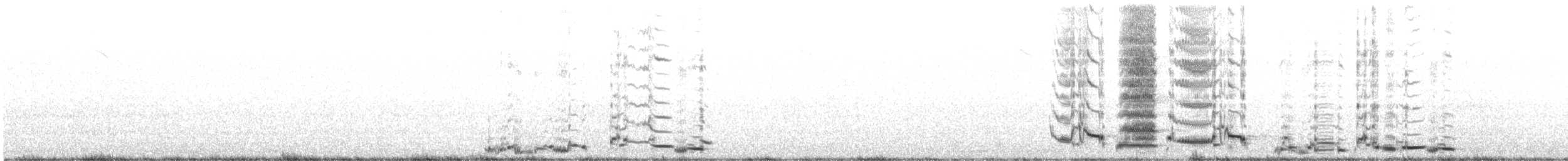 Australian Magpie - ML640601144