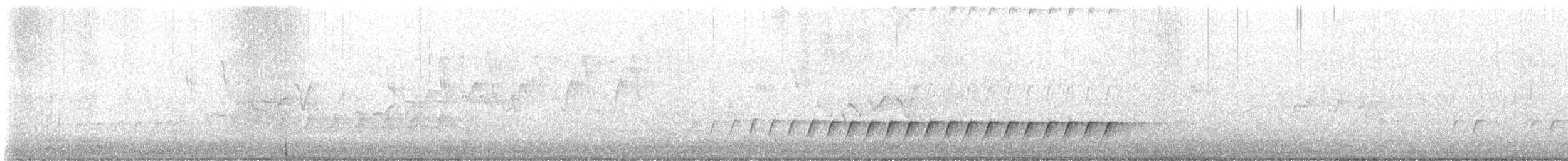 White-throated Treecreeper - ML640601226