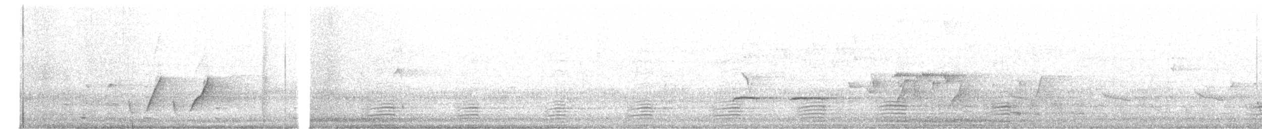Pacific Black Duck - ML640601287
