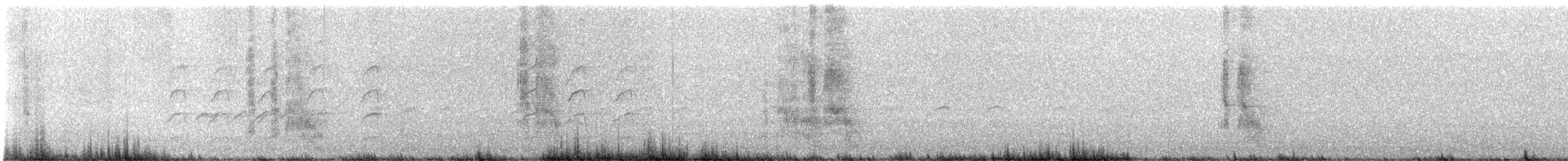 Apôtre gris - ML640601545