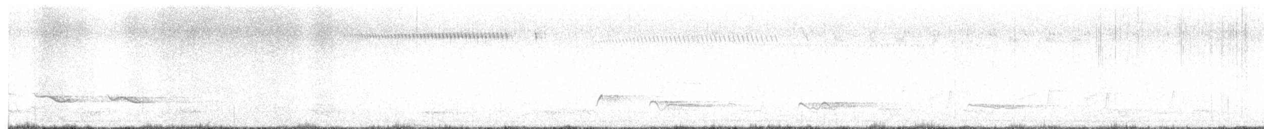 White-lined Honeyeater - ML640603071