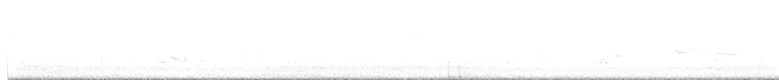 Fiscal Flycatcher - ML640604373