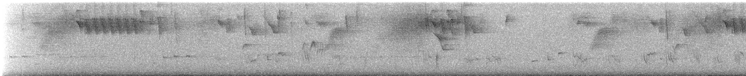 Caribbean Martin - ML640604869