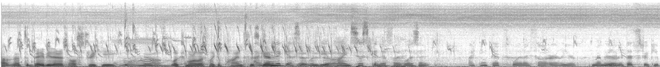 grankorsnebb (type 2) - ML640605173